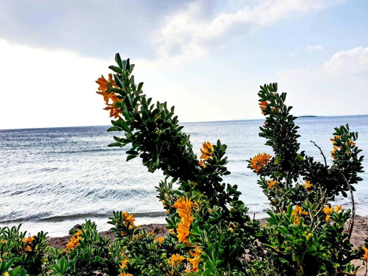 Beautiful Brand New Apartment Seaside 아테네 외부 사진